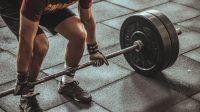 tutorial gym untuk pemula